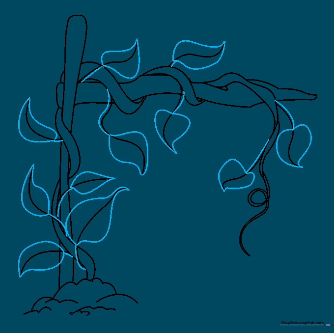 Heart-shaped leaves attached to the ends of the vine twigs.