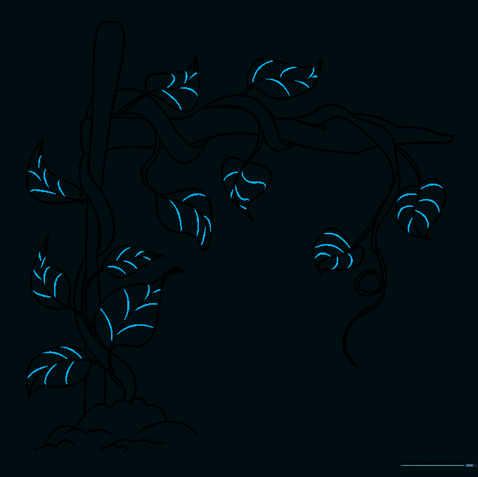 Detailed leaves showing internal vein structures drawn with short, curved lines.