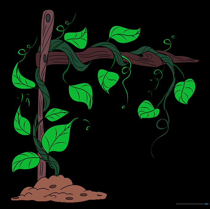 The completed vine drawing, fully colored with green leaves and brown wooden trellis.