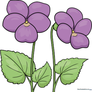 A vibrant, finished illustration of purple violets with green leaves, perfect for spring-themed art projects.