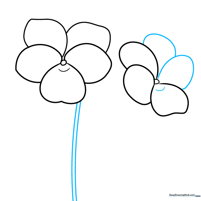 Drawing showing the completed second violet flower with five petals and a stem extending downwards.