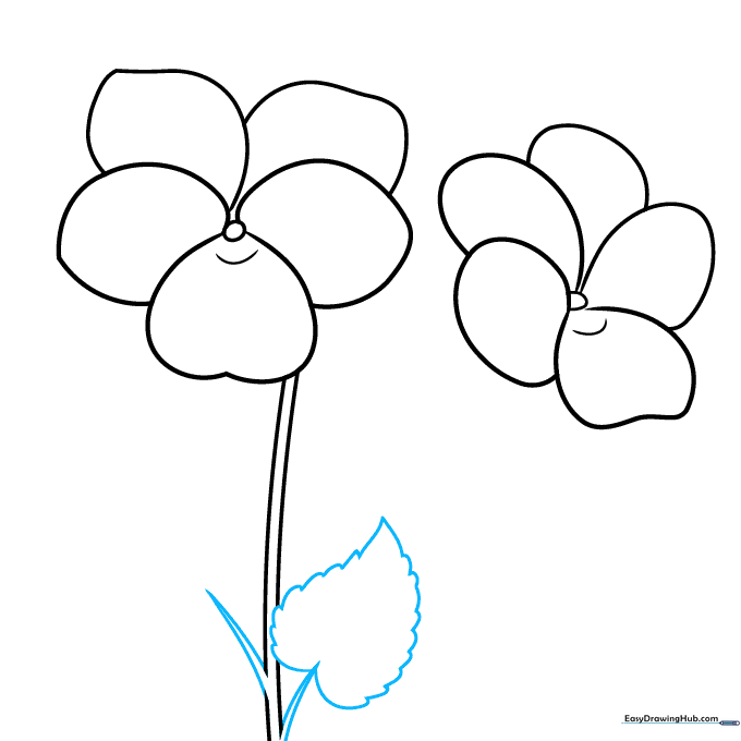 Drawing of a violet stem with a serrated, heart-shaped leaf attached to a small twig.