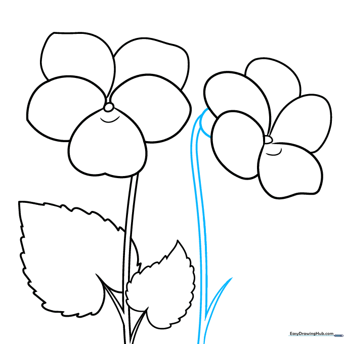 Drawing showing the addition of a flower receptacle and an extra stem section.