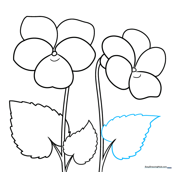 Drawing showing an additional heart-shaped leaf added to the violet plant sketch.
