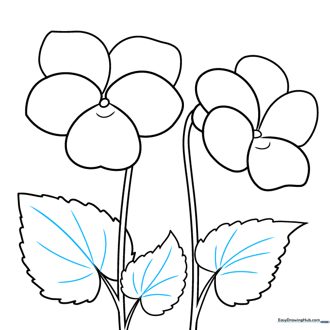 Drawing showing the addition of delicate vein lines on the violet leaves.
