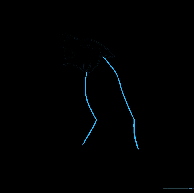 Outline of the werewolf body showing the hunched back and hip structure.