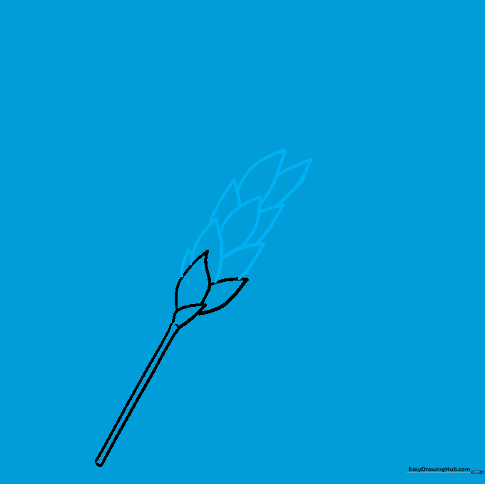 Adding overlapping kernel shapes to the wheat stalk