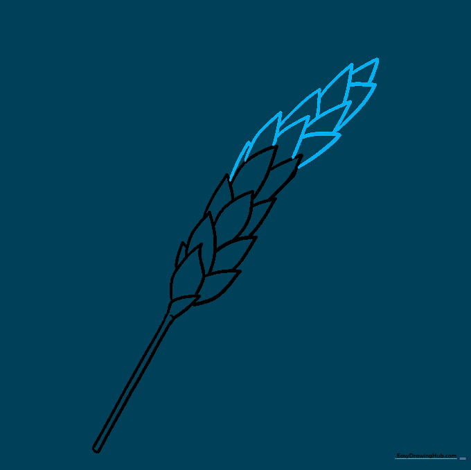Completed wheat spike with kernels reaching the top