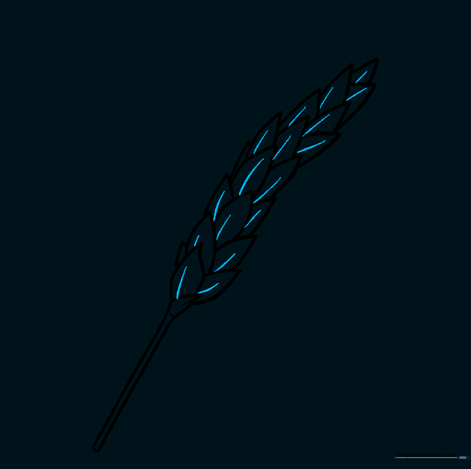 Adding central lines to each kernel for texture