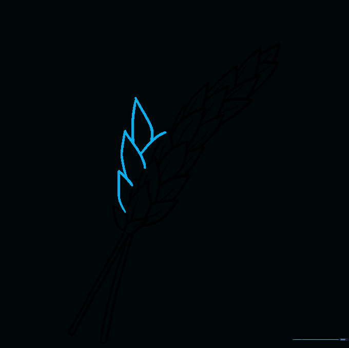 Adding kernel rows to the second wheat stalk