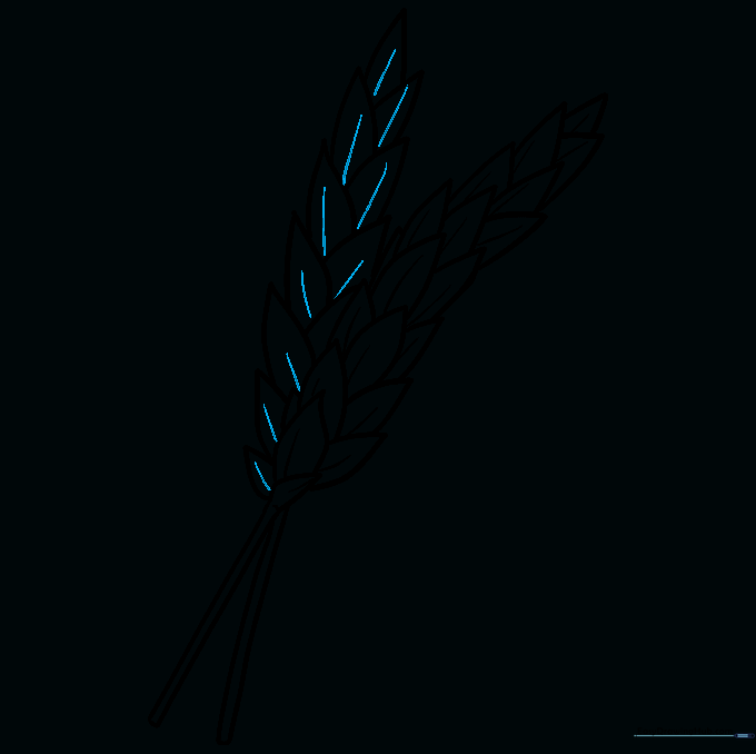 Adding texture lines to the second wheat stalk kernels