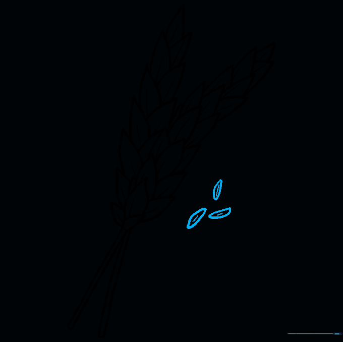 Drawing loose kernels on the ground near the wheat stalks