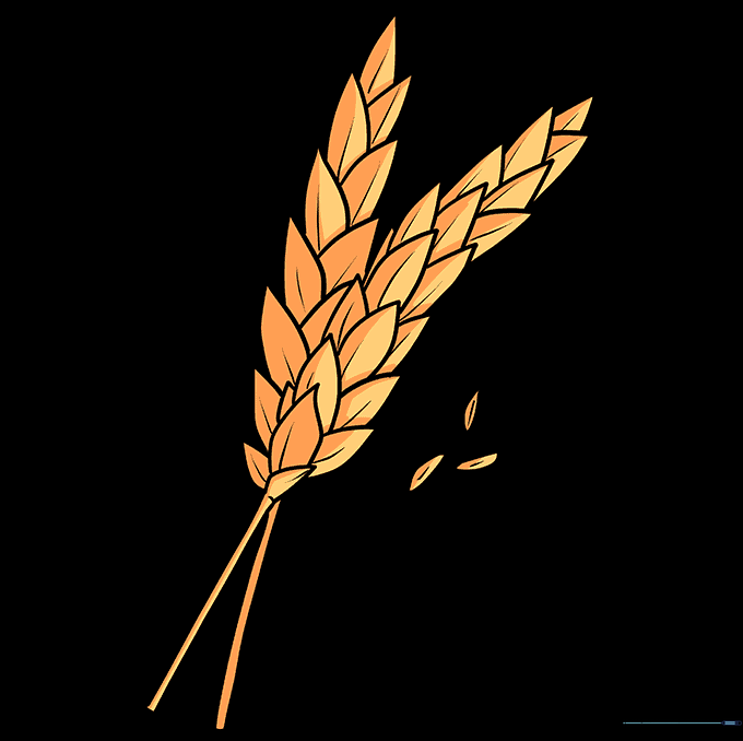 Final colored wheat drawing with golden and brown tones