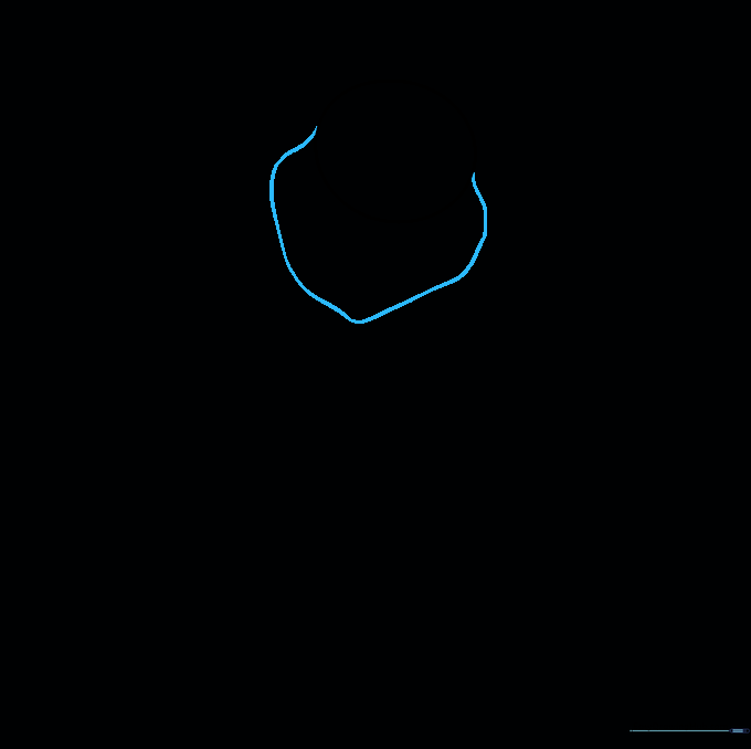 A circle with a curved line added at the bottom to define the muzzle of the bear.