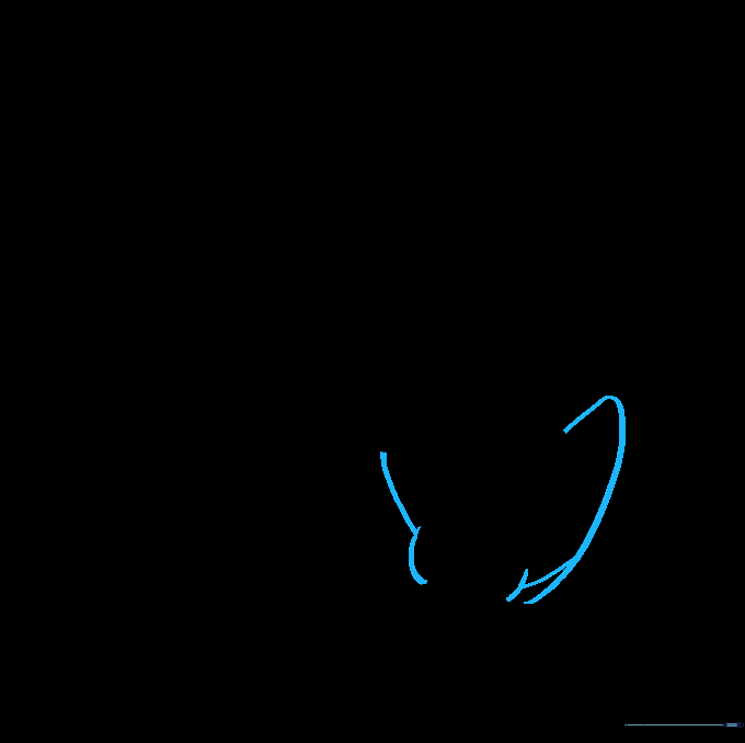 Outlining the tail and upper leg structure.