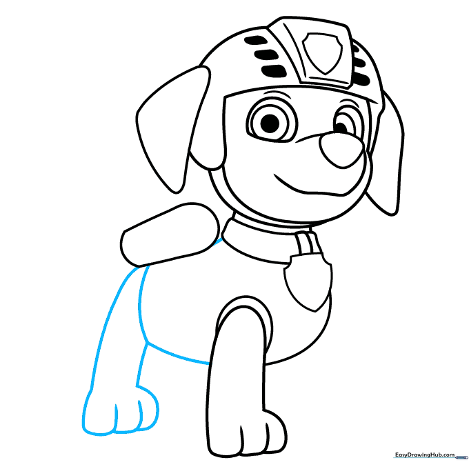 Pencil sketch showing the rear legs and body connection for Zuma.