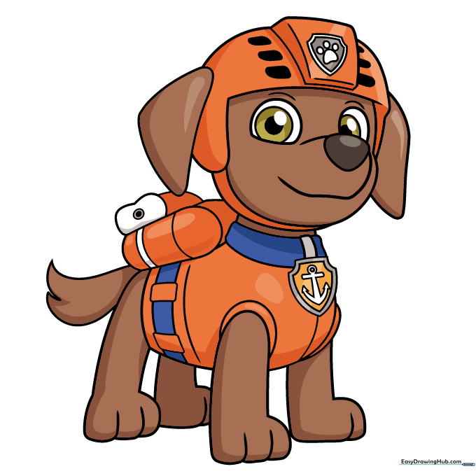 Final colored illustration of Zuma from PAW Patrol.