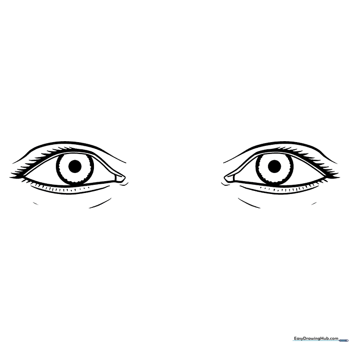 Human Eye Anatomy