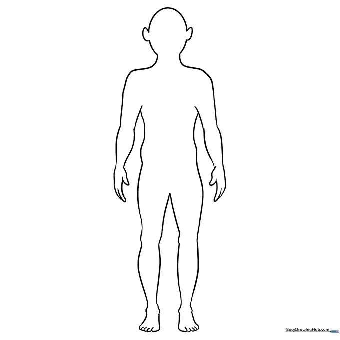 Human Body Outline