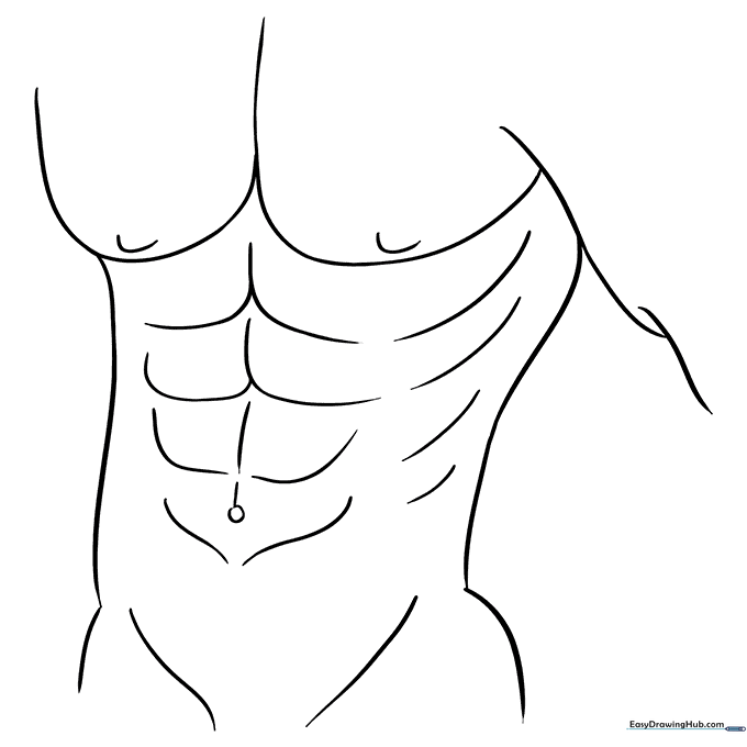 Abdominal Muscles Coloring Page