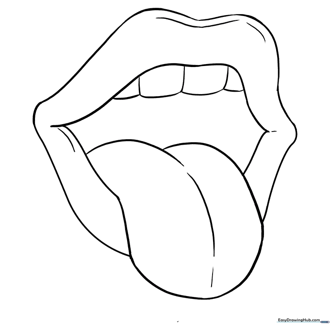 Mouth and Tongue Anatomy