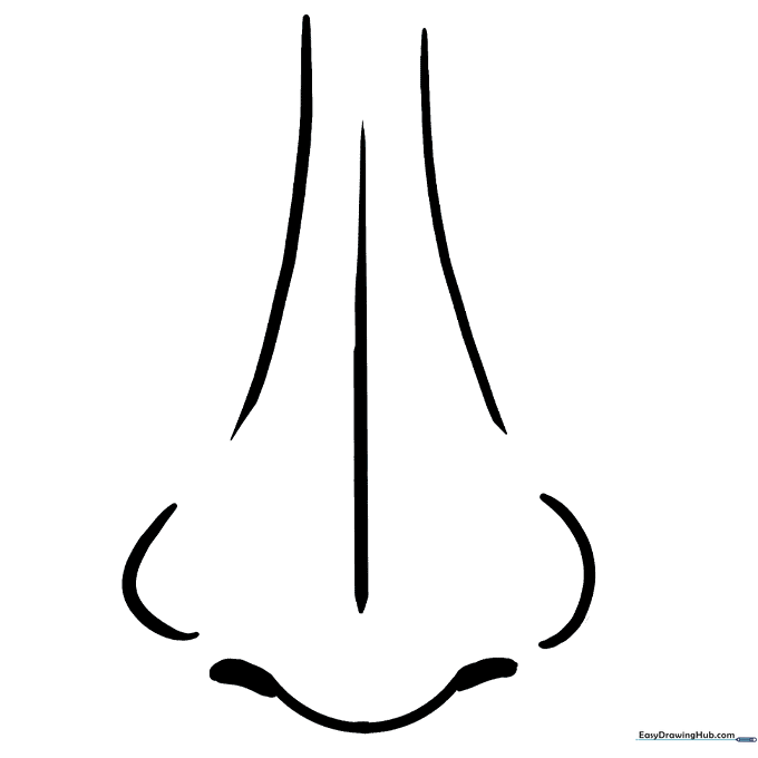 Nose Anatomy Coloring Page