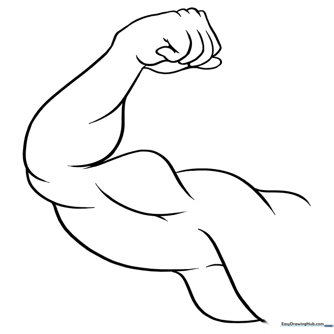 Biceps Muscle Coloring Page