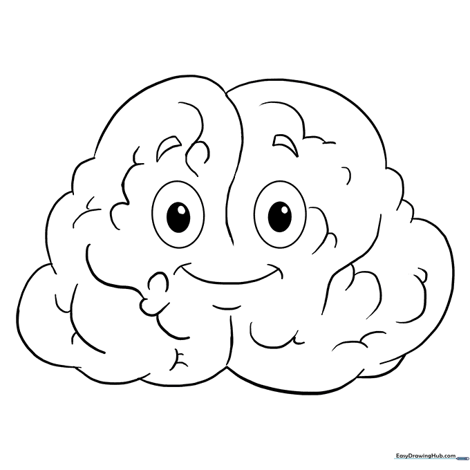 Human Brain Diagram