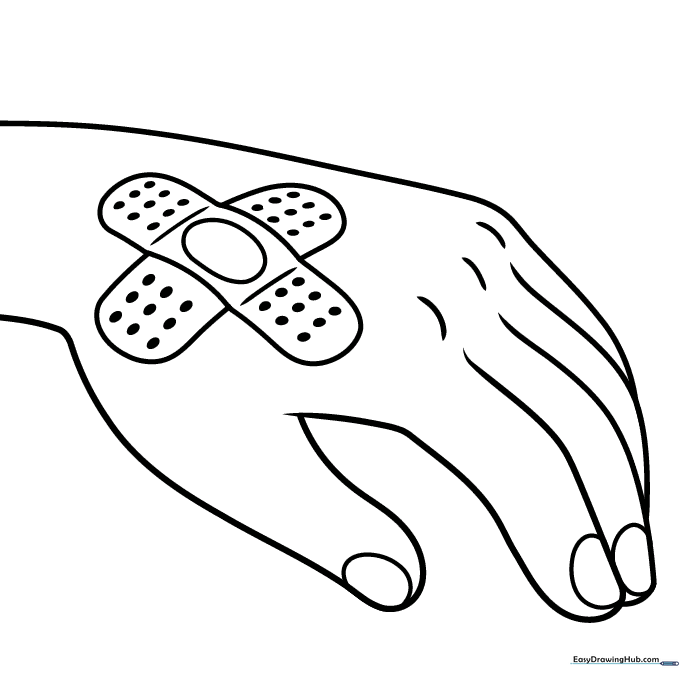 Band-Aid Anatomy Aid