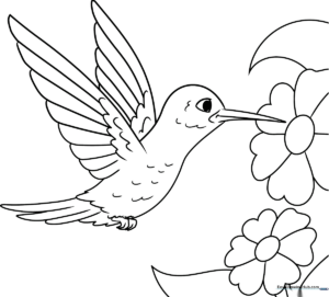 Detailed line art of a hummingbird in flight, featuring clear outlines for easy coloring and educational practice for children.