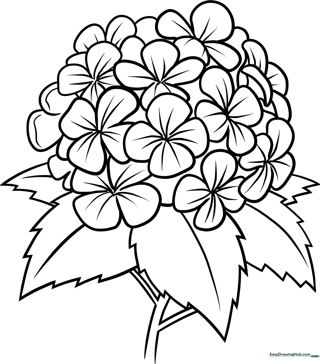 Black and white line art of a hydrangea flower with clustered petals and broad leaves, designed for children to color.