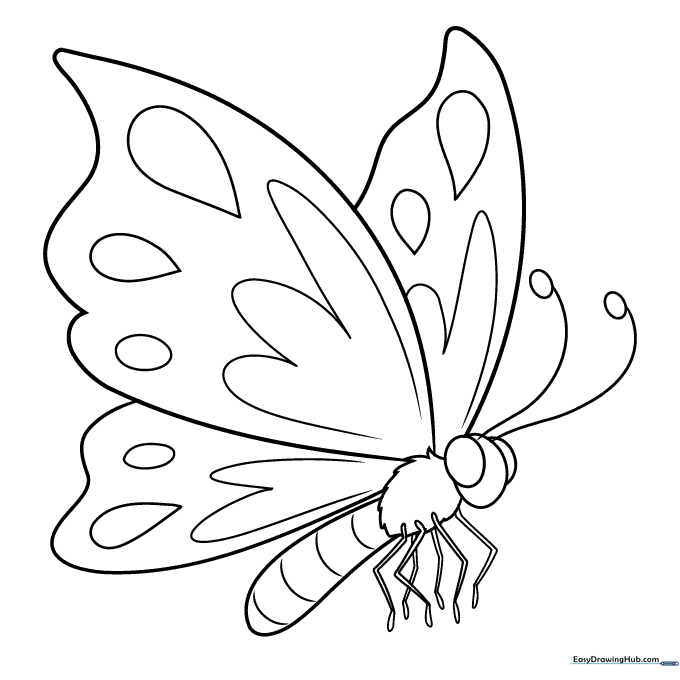 Cartoon Butterfly Coloring Sheet