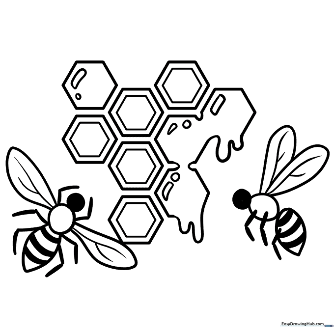 Honeycomb Coloring Sheet