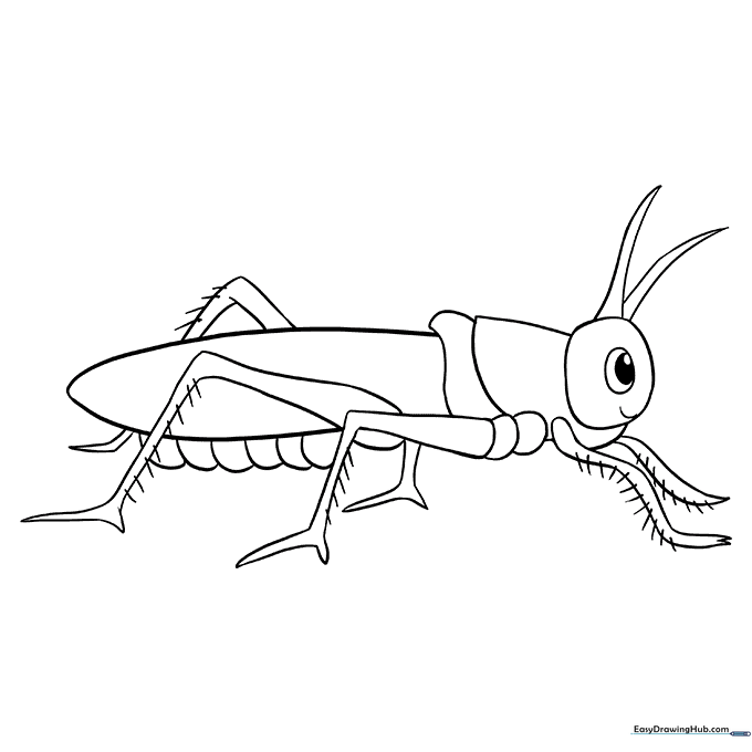 Grasshopper Coloring Sheet