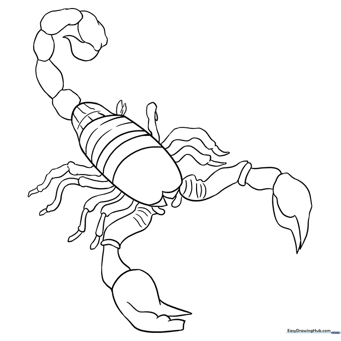 Scorpion Coloring Sheet