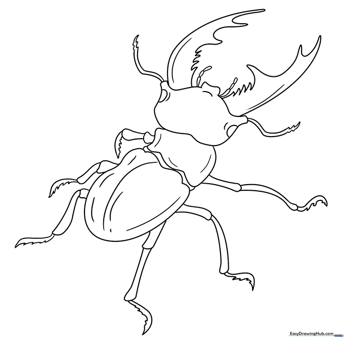 Beetle Coloring Sheet