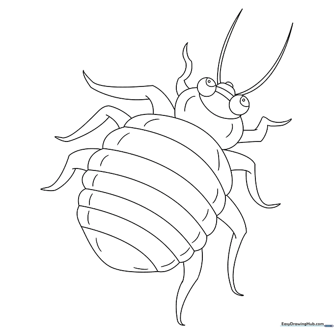 Bed Bug Coloring Sheet