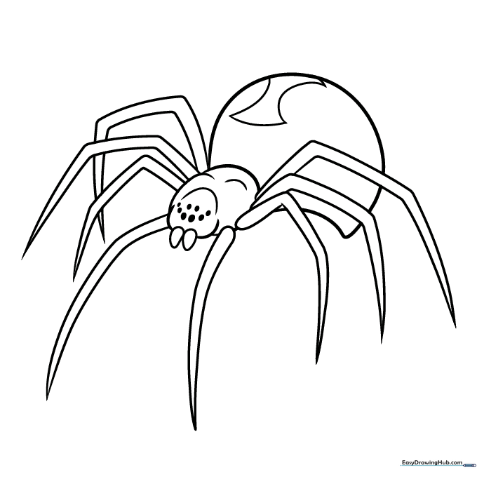 Black Widow Spider Coloring Sheet