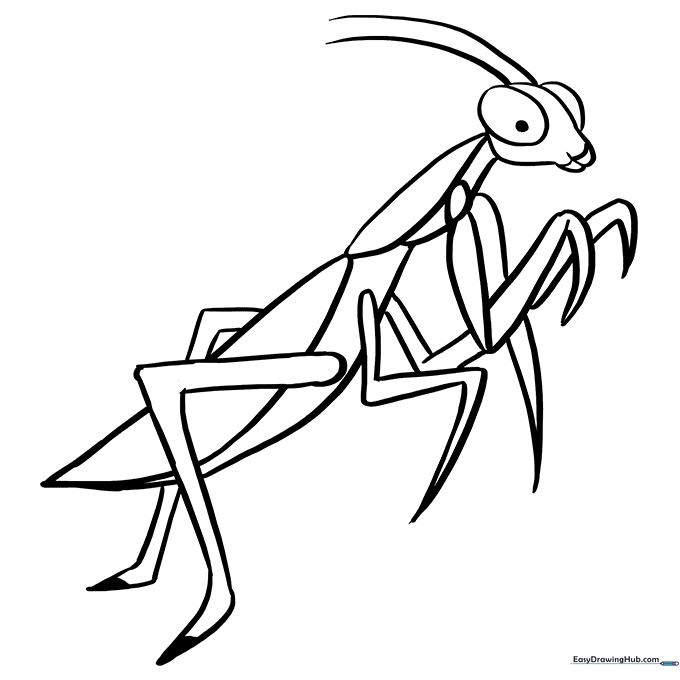 Praying Mantis Coloring Sheet