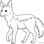 Cartoon jackal with large ears and a bushy tail, outlined in bold black lines for easy coloring by children.