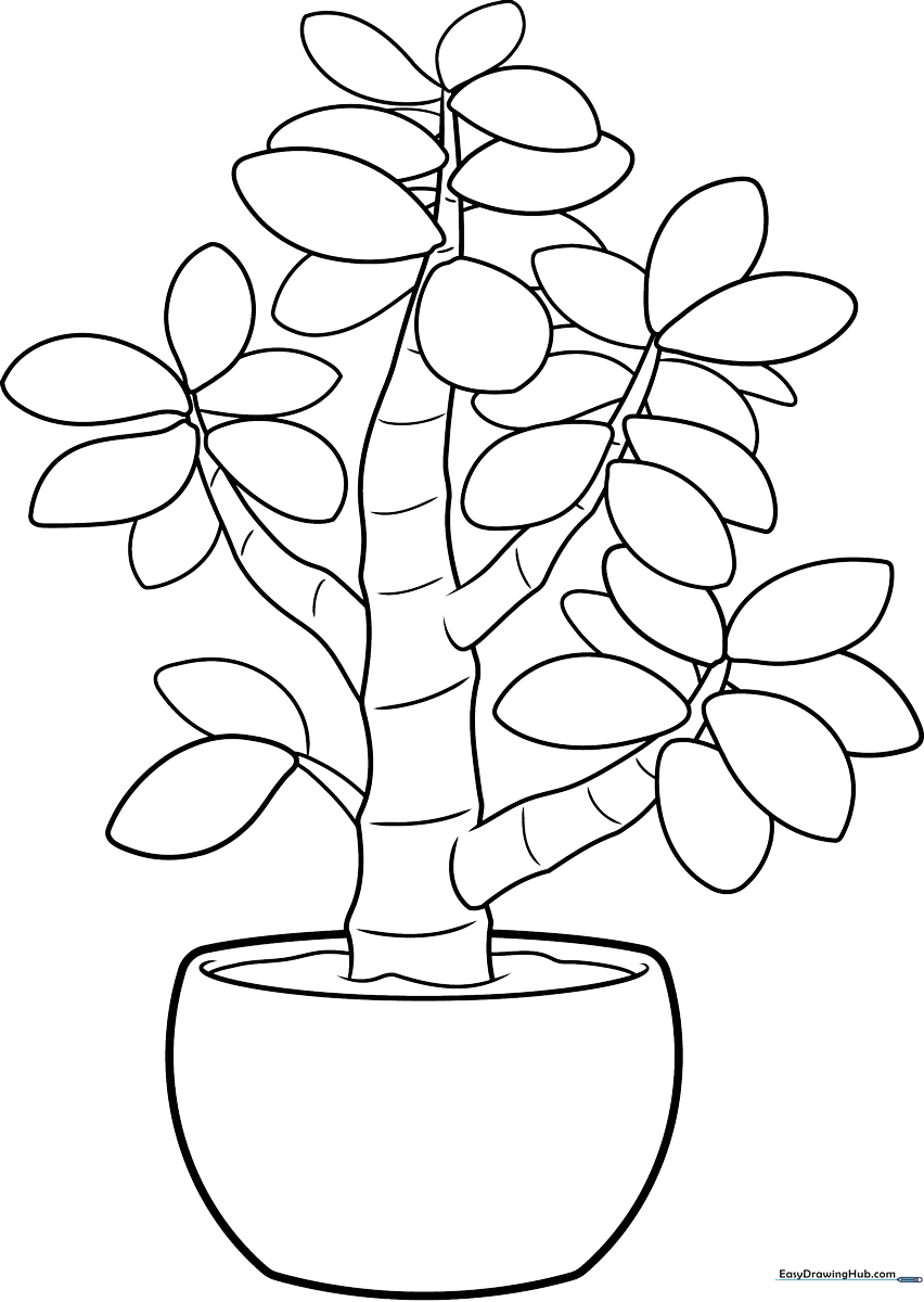 Detailed line art of a potted Jade Plant with thick, rounded leaves, ready for coloring in a classroom or home setting.