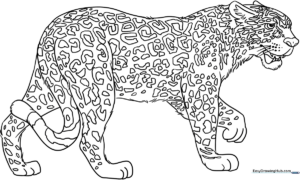 Black and white line art of a friendly jaguar standing, featuring clear outlines for easy coloring and distinct spots for practicing detail work.