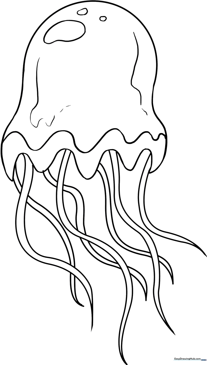 Black and white line art of a friendly jellyfish with a rounded bell and long, flowing tentacles, designed for children to color.