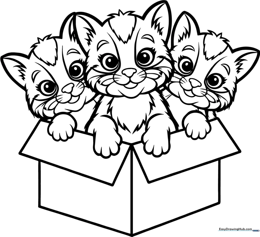 Three Kittens in a Box