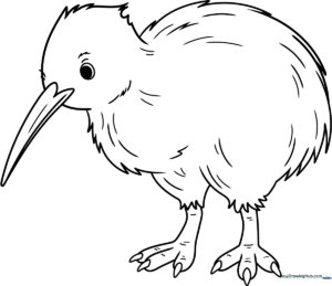 A friendly cartoon Kiwi Bird with a long beak and round body, featuring bold outlines for easy coloring by children.