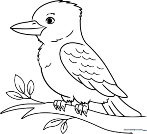 A friendly cartoon Kookaburra with large eyes and distinct wing feathers, outlined in bold black lines for easy coloring by children.