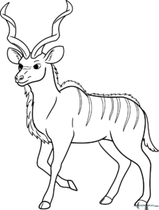 A clear, black-and-white line art illustration of a Kudu antelope with large spiral horns, designed for children to color.