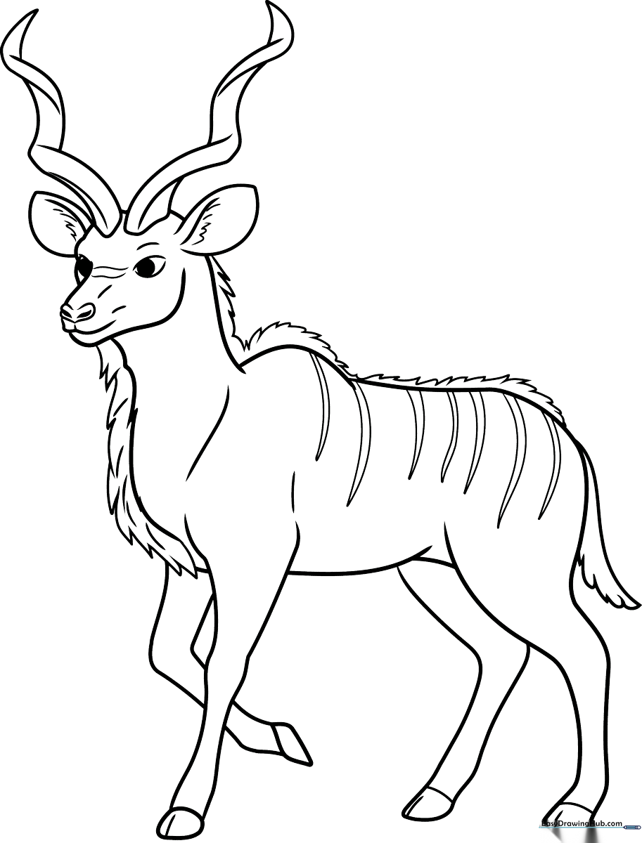 A clear, black-and-white line art illustration of a Kudu antelope with large spiral horns, designed for children to color.