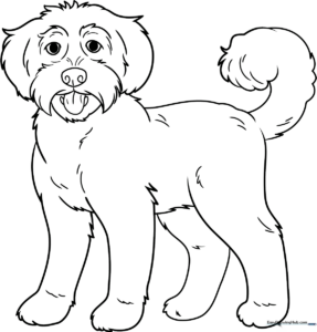 Black and white line art of a happy Labradoodle with curly fur and a friendly expression, ready for children to color.