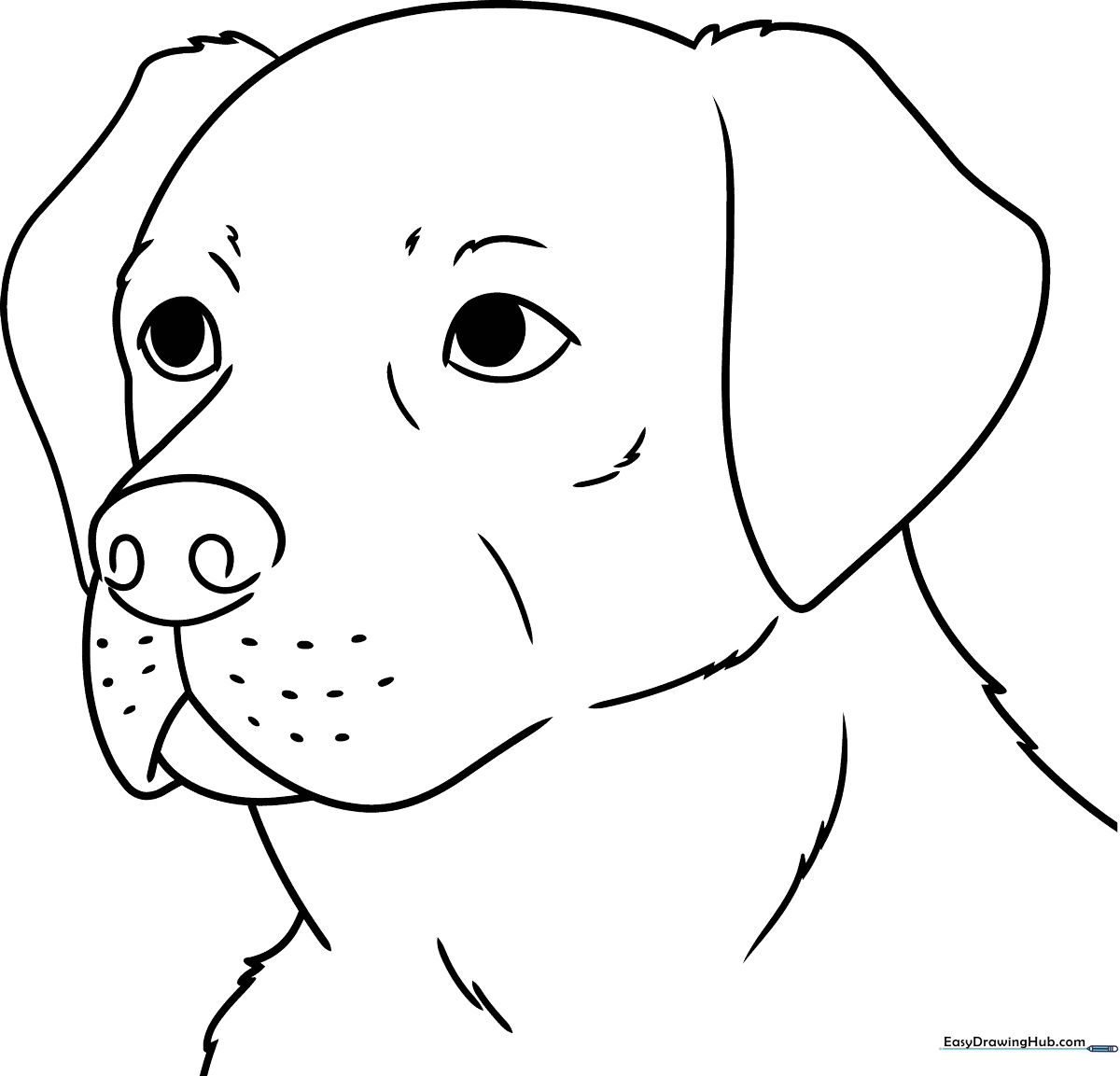 Black and white line art of a friendly Labrador Retriever face with floppy ears and a gentle expression, ready for coloring.